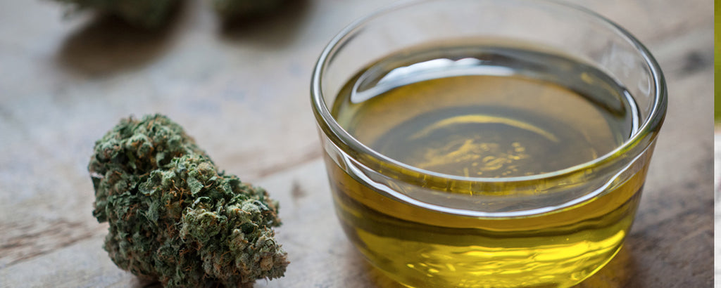 Making Cannabis Infused Olive Oil