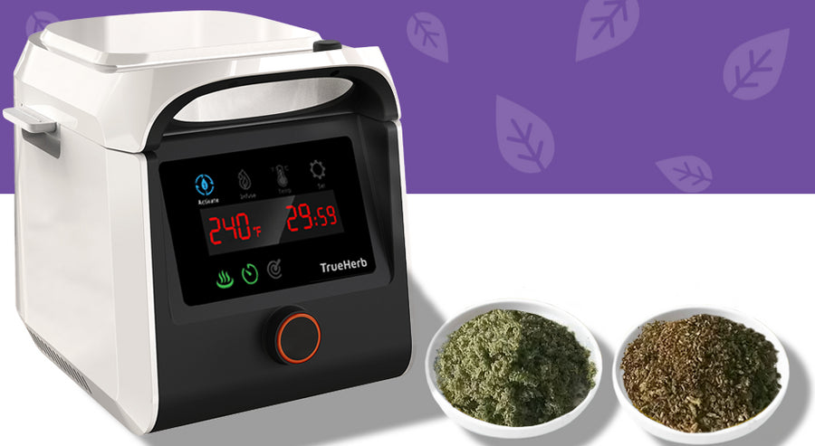 True Herb H-Brewer Decarboxylator Activator Function